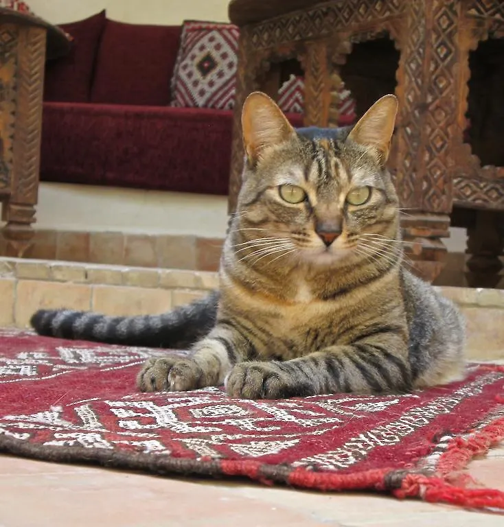 Guest house Riad Ma'Ab Marrakesh Morocco